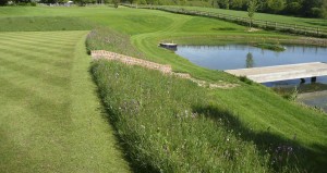 image14 - 850x450